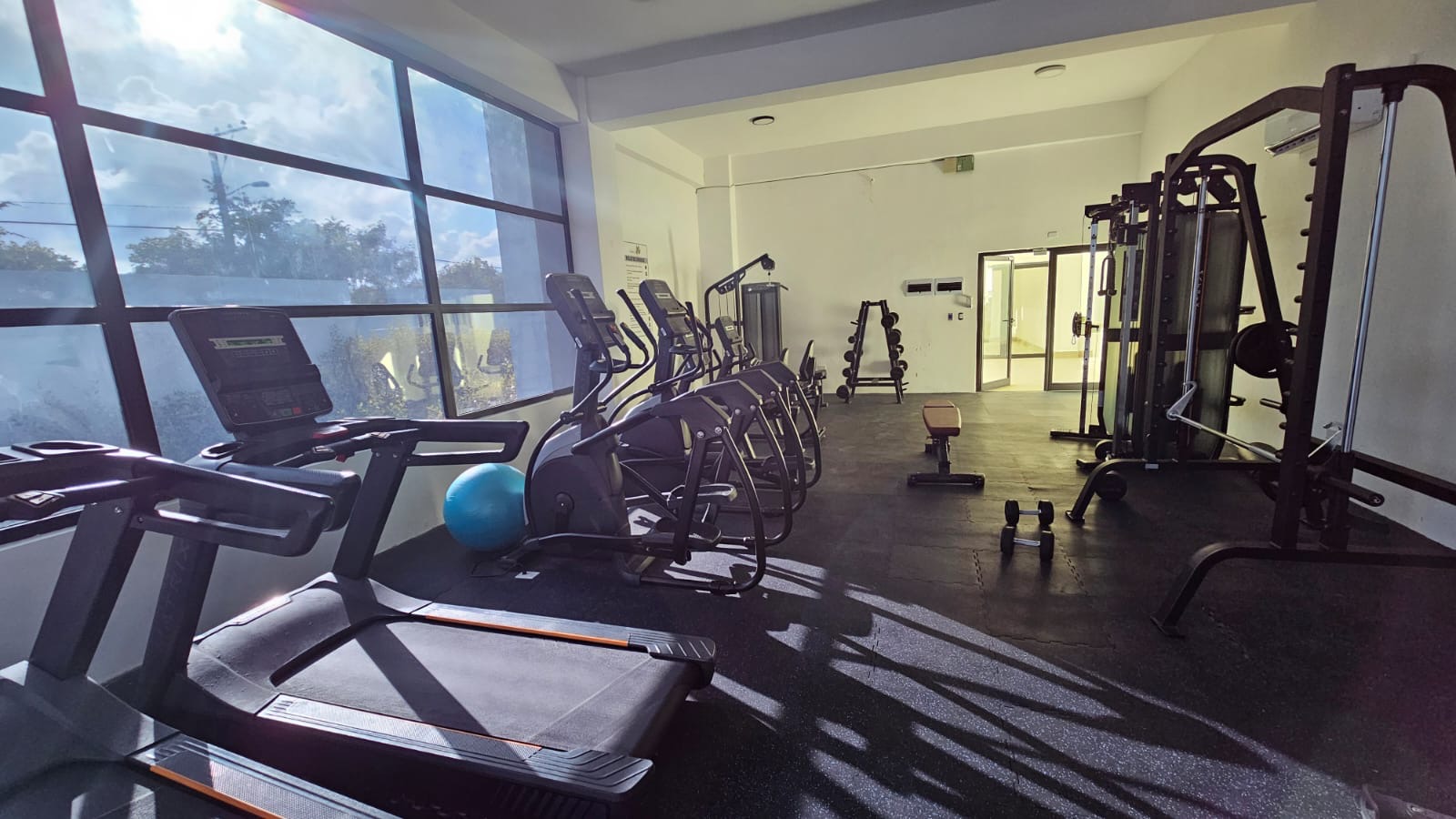 ee21a64b-dd97-4e0b-8263-9419b6c8ab88