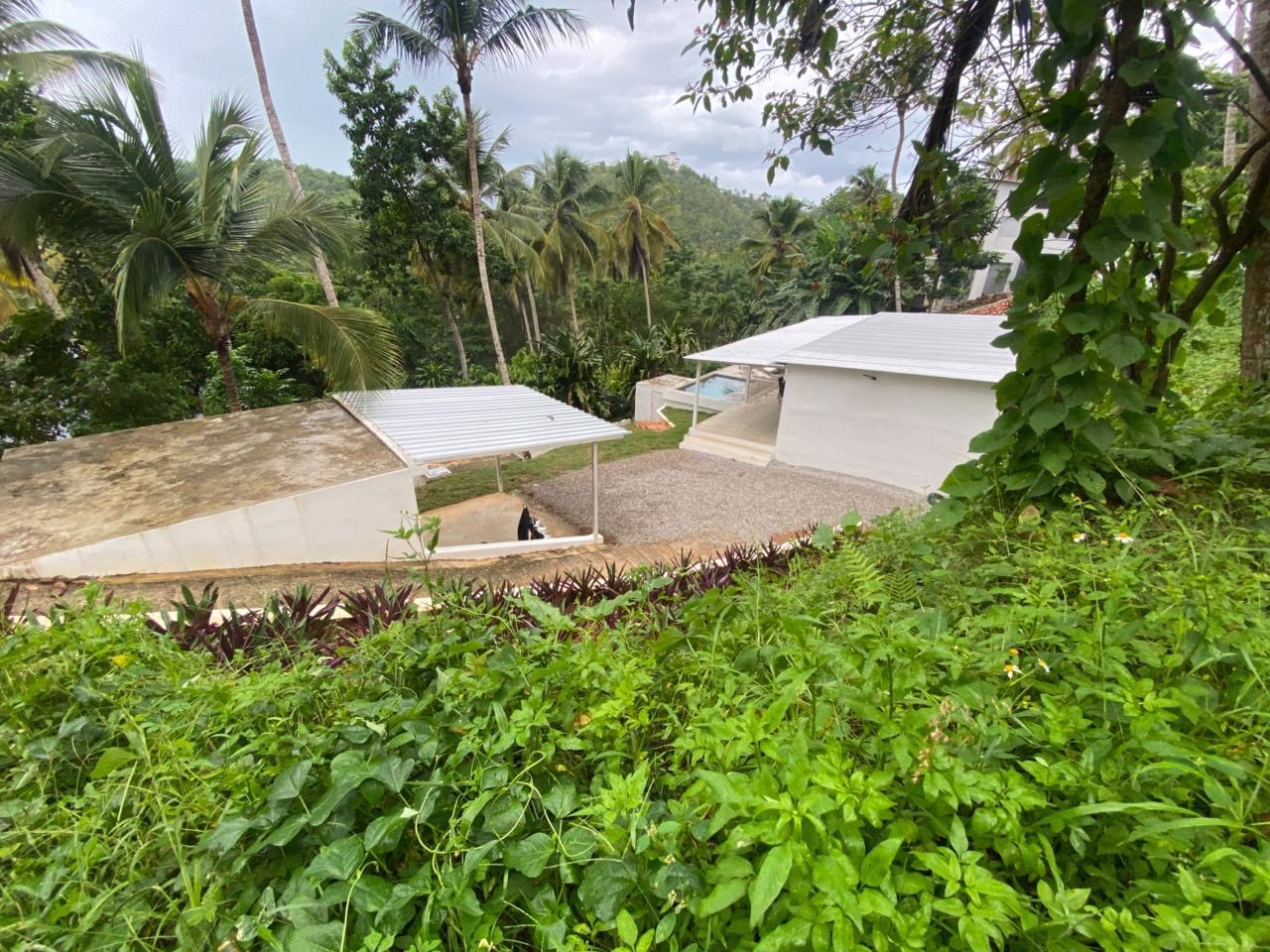 5d29fdd9-f67c-491a-8d38-67bed4216b16