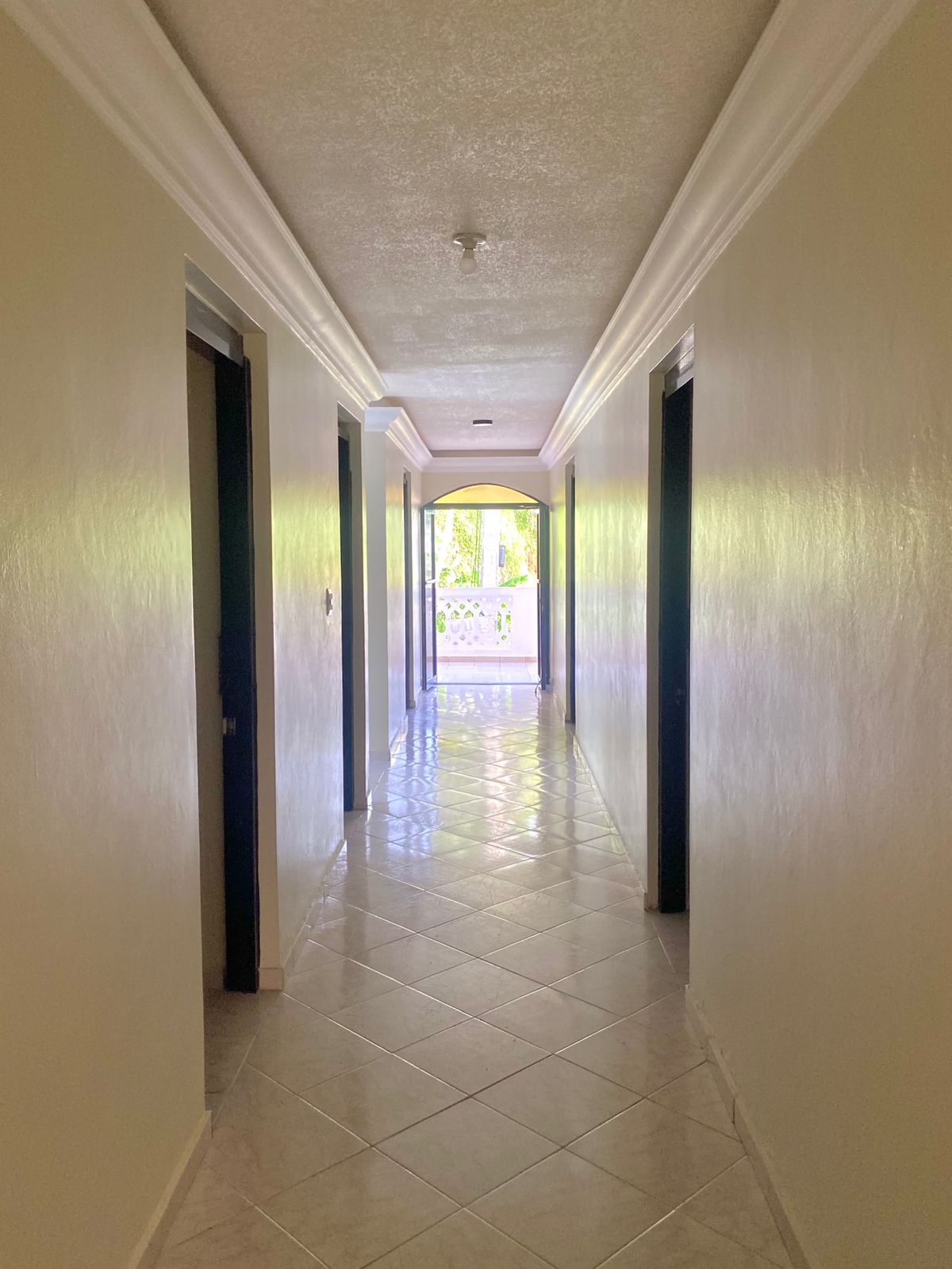 WhatsApp Image 2025-07-09 at 2.29.57 PM (1)