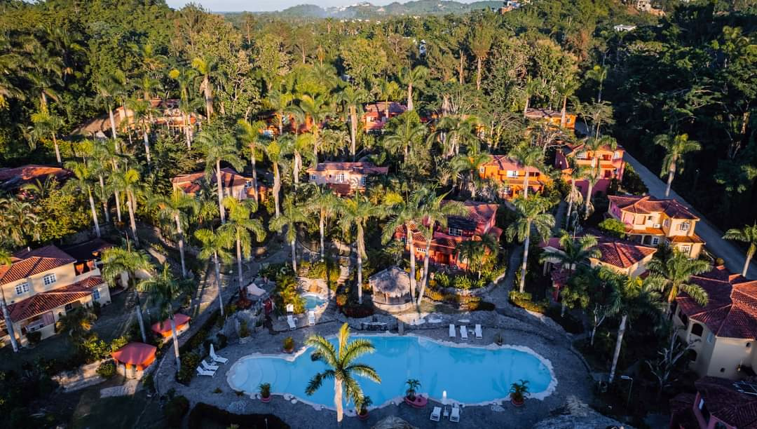 da3ed547-1554-41fa-a4f2-3cdfb5d63e4c