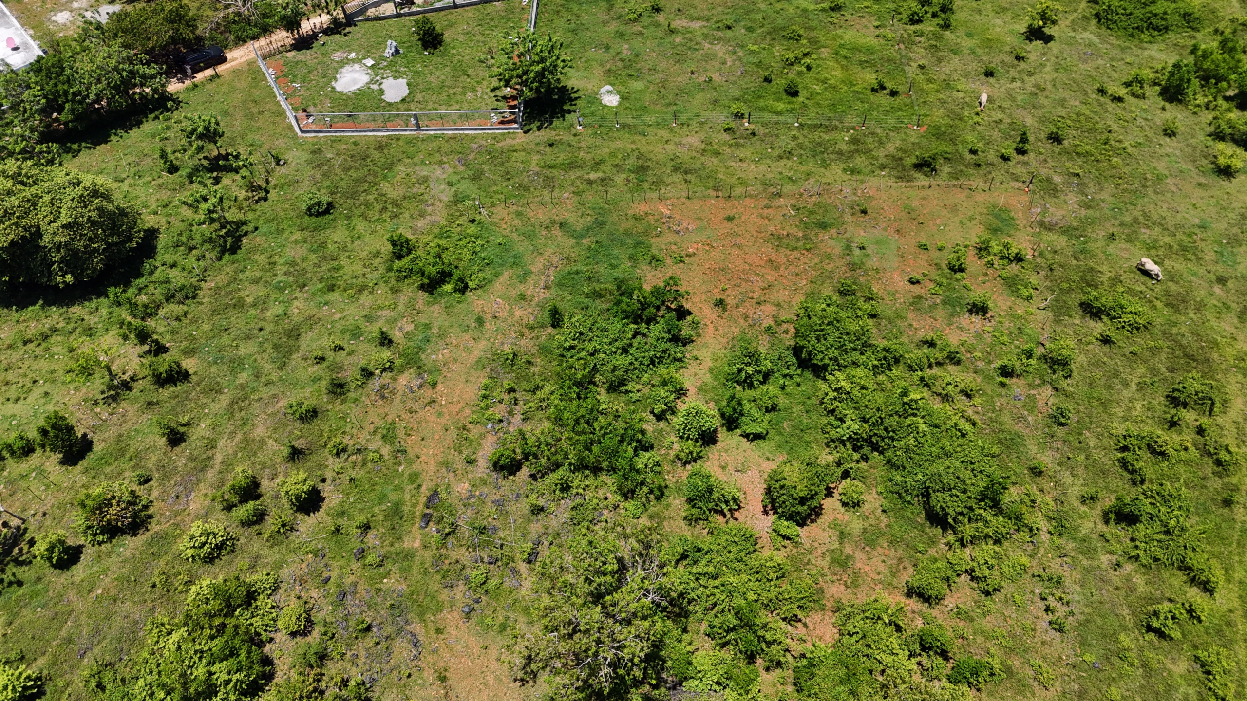 DJI_20260508125105_0092_D